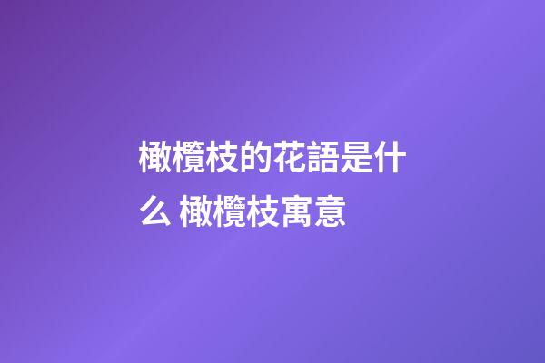 橄欖枝的花語是什么 橄欖枝寓意